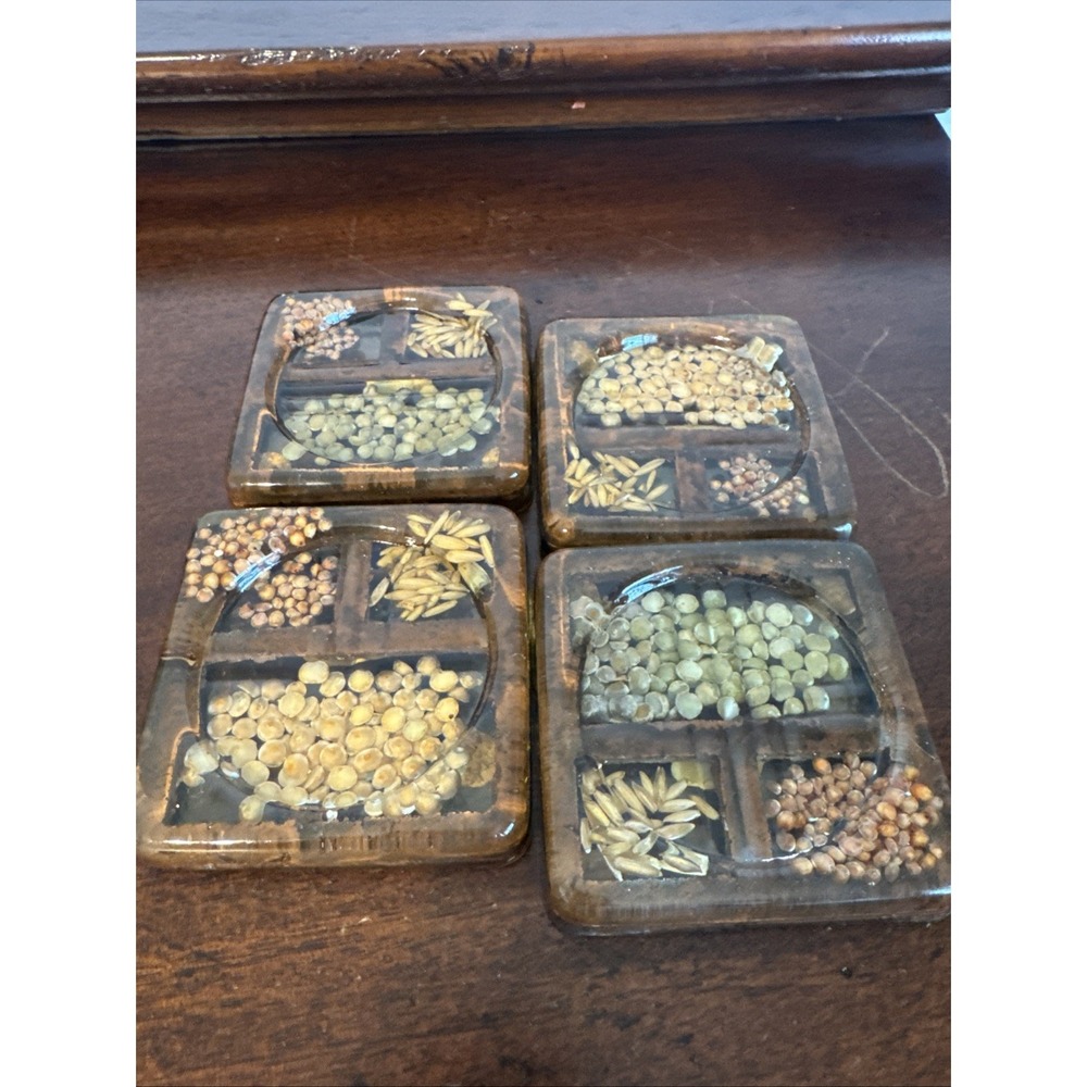 4 Vintage Gamut Designs Lucite Acrylic Resin Dried Seeds Coasters 3-3/8" Square